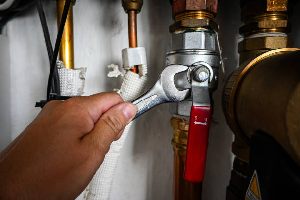Best Drain Cleaning Services  in Rio, WI